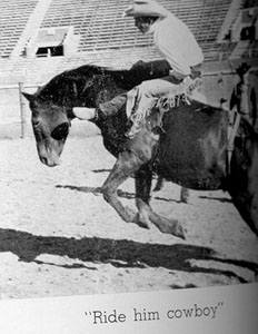 Participating in rodeo