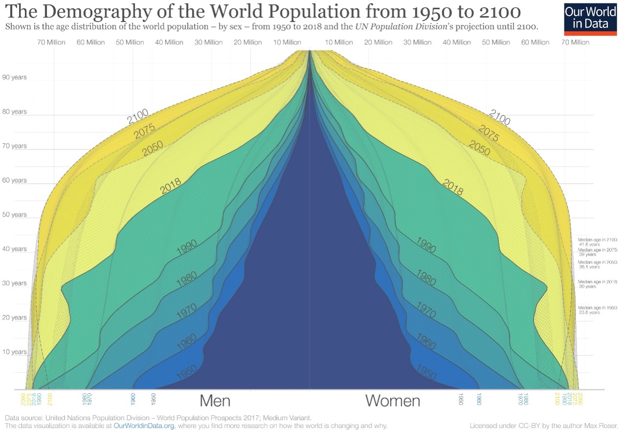 Age Structure Population Pyramid