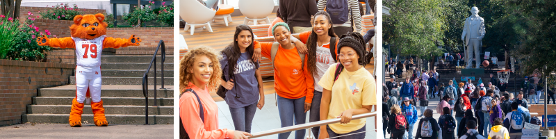 Collage of mascot Sammy Bearkat, a group of students in the Lowman Student Center, and Students walking on campus between classes