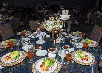 gala photo
