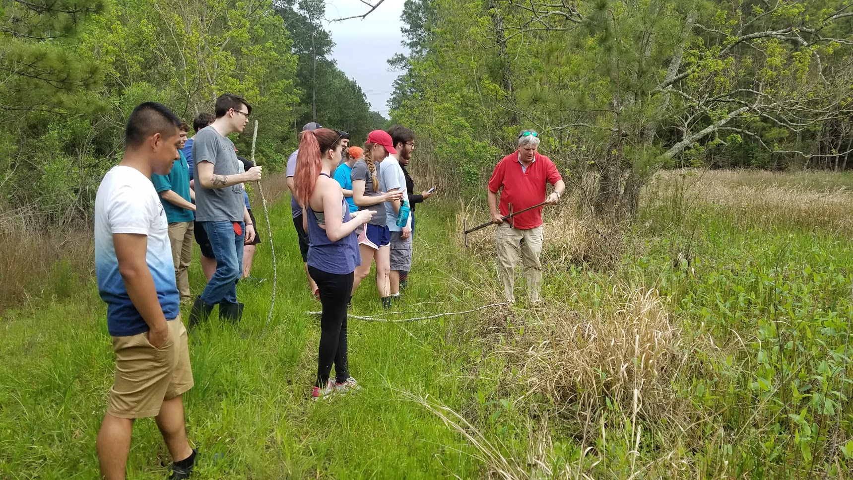 Field Studies - Leipnik