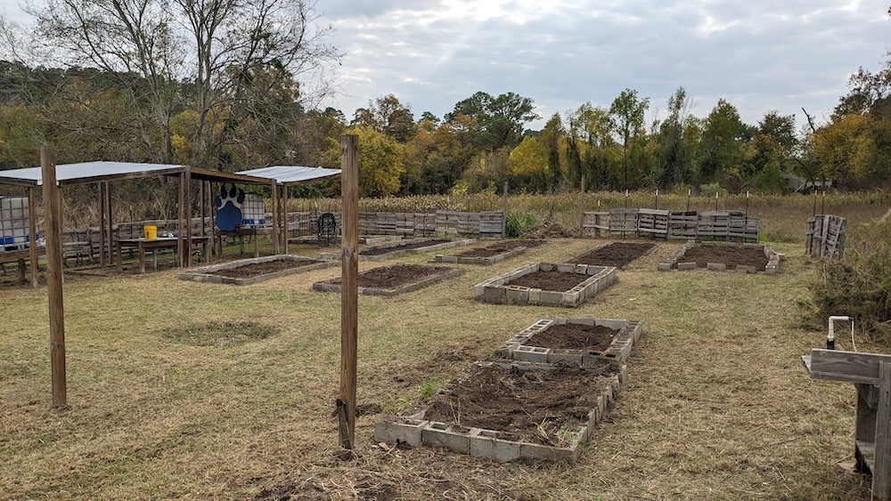 The Bearkat Community Garden after the Honors College clean up day.