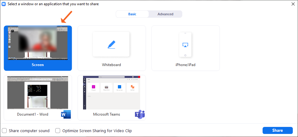 Share Screen Options Share Whole Screen