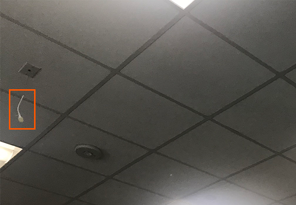 Ceiling Mics