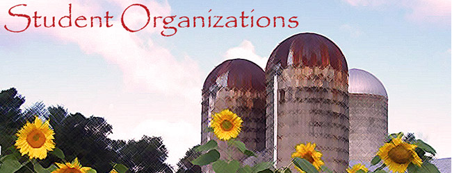 organizations