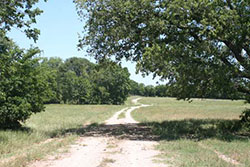 Gibbs Ranch